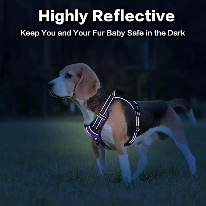 PoyPet No Pull Dog Harness, No Choke Front Clip Reflective Dog Vest with Soft Padded Vertical Handle, 3 Leash Attachments for Small Medium Large Dogs (Purple,XL)