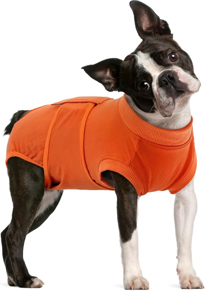 FUAMEY Dog Recovery Suit Male,Dogs Surgery Neuter Suits Puppy Spay Shirts for Female Protect Dog's Skin Anti Licking Abdominal Wounds Doggie Onesie Pet Bodysuit Alternative to Cone Orange L