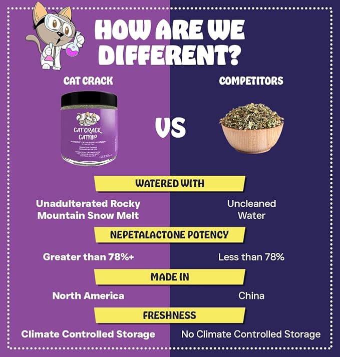 Cat Crack Catnip 1 Cup Bundled with Organic Catnip 1 Cup, Premium Blend Safe for Cats, Infused with Maximum Potency Your Kitty is Sure to Go Crazy