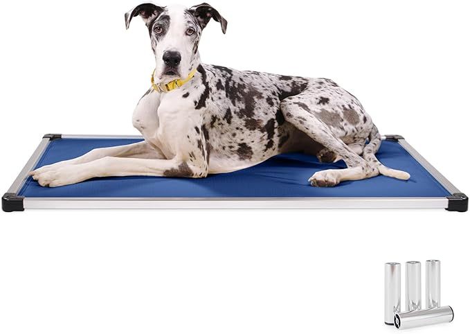 K9 Ballistics Chew Proof Armored Padded Dog Crate Bed, Virtually Indestructible, Legs Included (Blue Quartz, Medium (35" L x 22" W x 4.5" H))