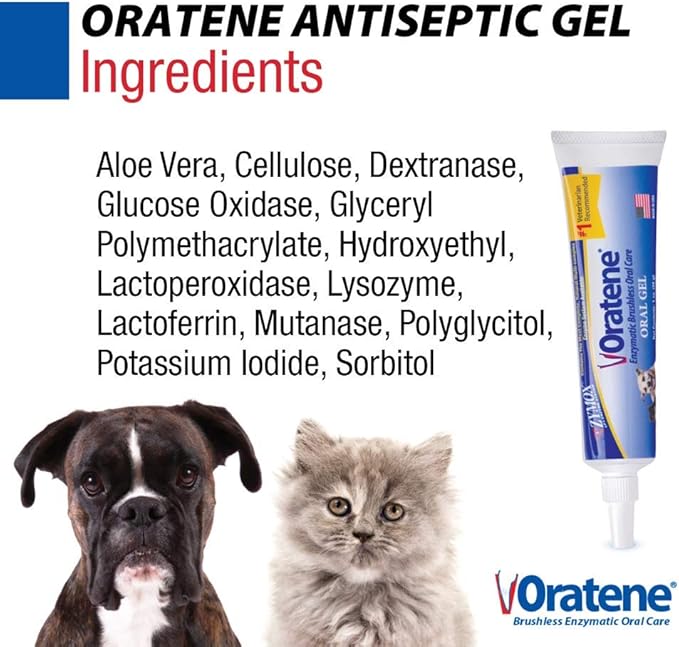 Pet King Brands ZYMOX Oratene Brushless Oral Gel for Dogs and Cats, 1oz