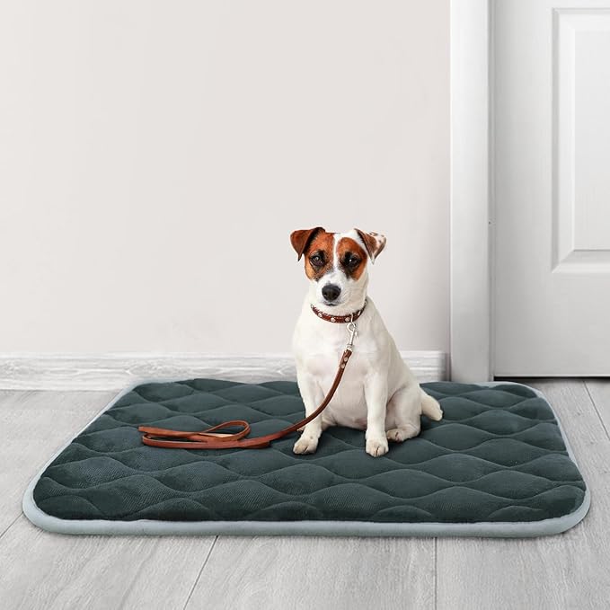 furrybaby Dog Crate Pad for Dog Cages Flat Crate Mat Kennel Pad with Anti-Slip Bottom Machine Washable for Pet Bed Sleeping (S 24x18'', Grey Mat)