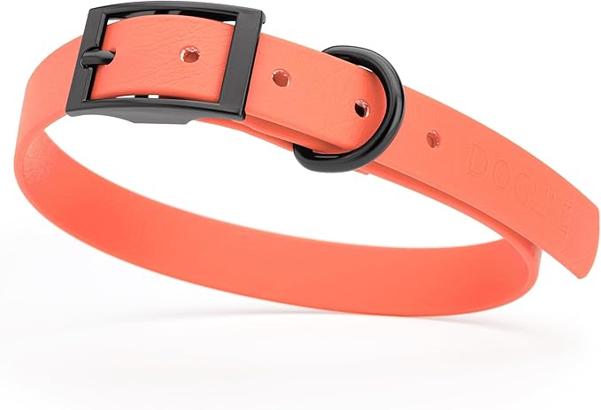 Dogline Biothane Waterproof Dog Collar Strong Coated Nylon Webbing with Black Hardware Odor- Proof for Easy Care Easy to Clean High Performance Fits Small Medium or Large Dogs, Coral