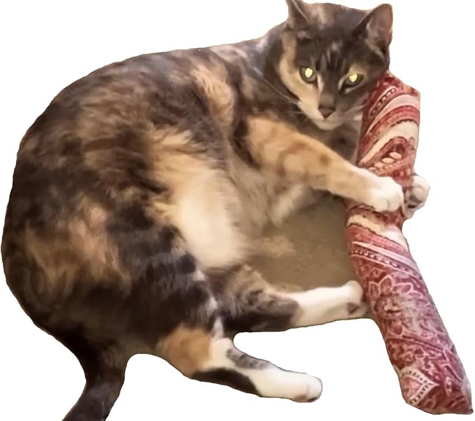 15" Catnip Cat Kicker Toys/Kitty Kick Sticks/Cat-Nip Kick Sticks (Ruby Red) (Kickers Filled with 1 oz Premium Canadian Catnip)