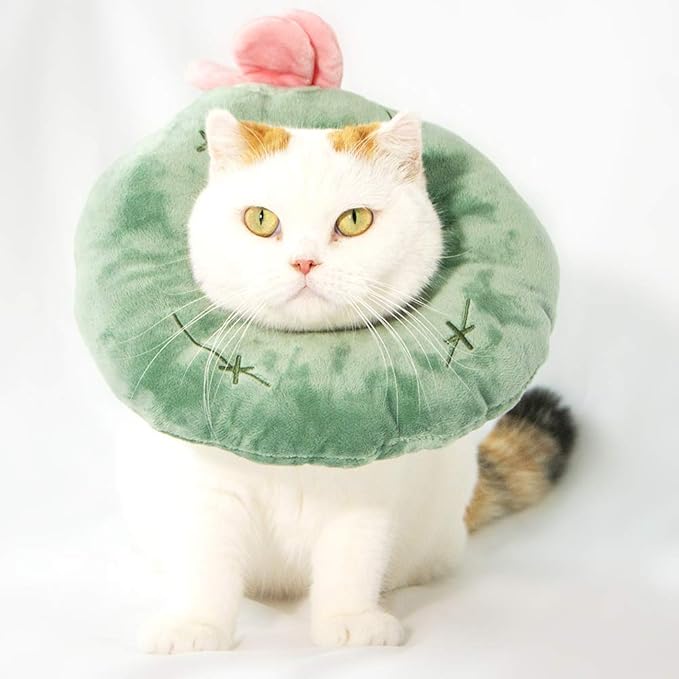 Adjustable Cat Recovery Collar Soft,Cute Pet E-Collar Neck Cone After Surgery Wound Healing Protective Cone Fit for Kitties, Small Dogs(ELC05-cactus-l)