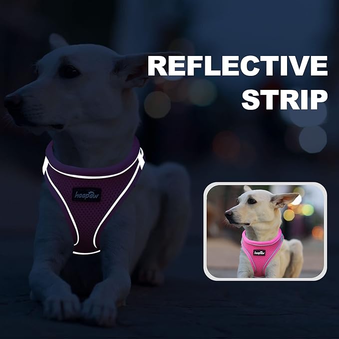 haapaw Dog Harness with Leash Set, No Pull Adjustable Reflective Step-in Puppy Harness with Thickened Padded Vest for Extra-Small/Small Medium Dogs