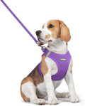 rabbitgoo Dog Harness Small Medium Sized and Leash Set, Step in Soft Light Puppy Vest, Breathable Mesh Pet Harness, Reflective for Safe Outdoor Walking, Purple L