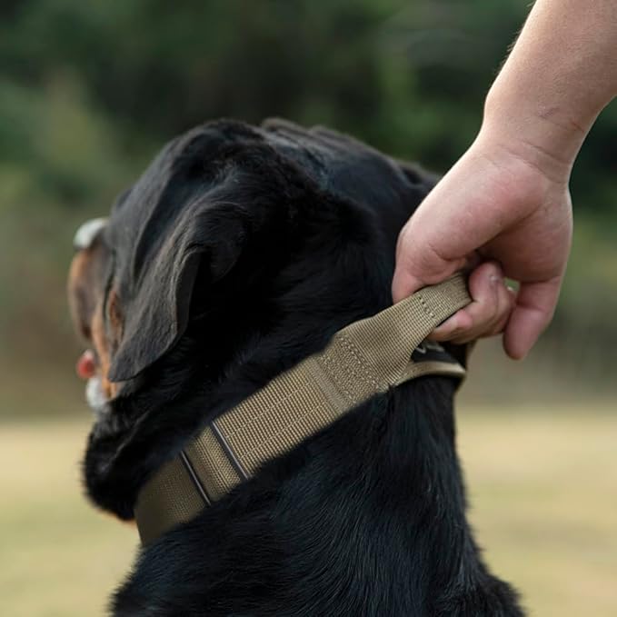 TSPRO Premium Dog Collars Tactical Dog Collar with Handle and Heavy Duty Quick-Release Metal Buckle Durable Thick and Adjustable for Medium to Large Dogs (Orange M)