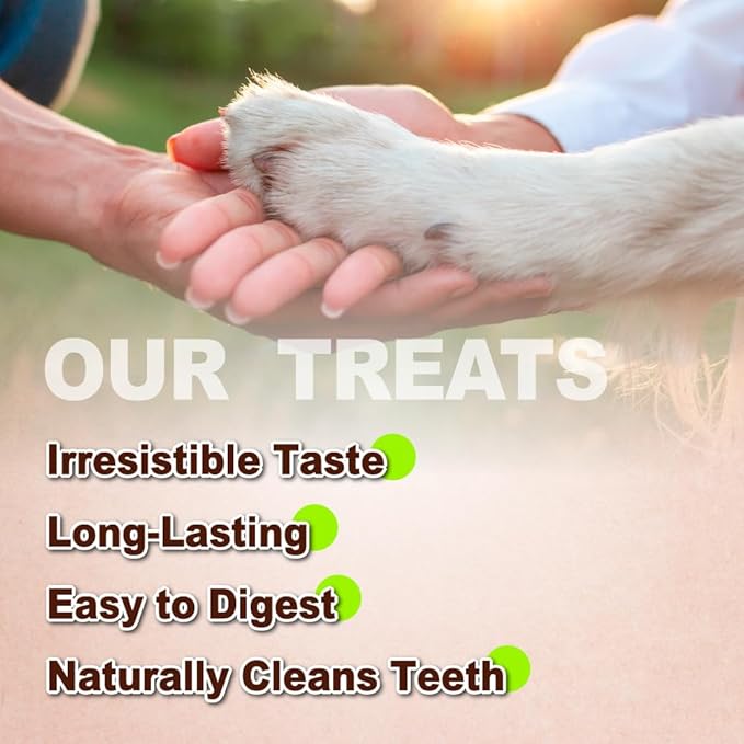 Afreschi Natural Turkey Tendon Pretzel (L) 10 oz, USA-Sourced Turkey Tendon, All Natural Puppy Chew, Hypoallergenic, Rawhide Alternative, for Large Breeds