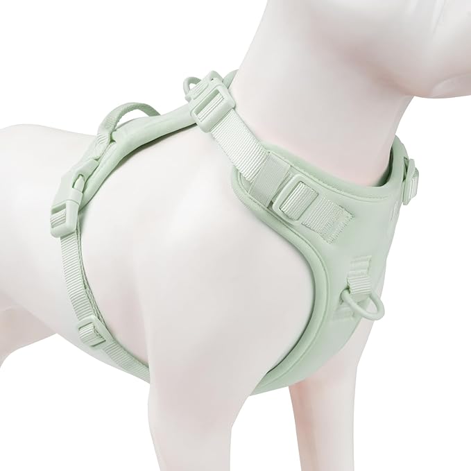 No Pull Dog Harness, Puppy Vest with Front Clip for Small Medium Large Sized Dog(Light Green,L)