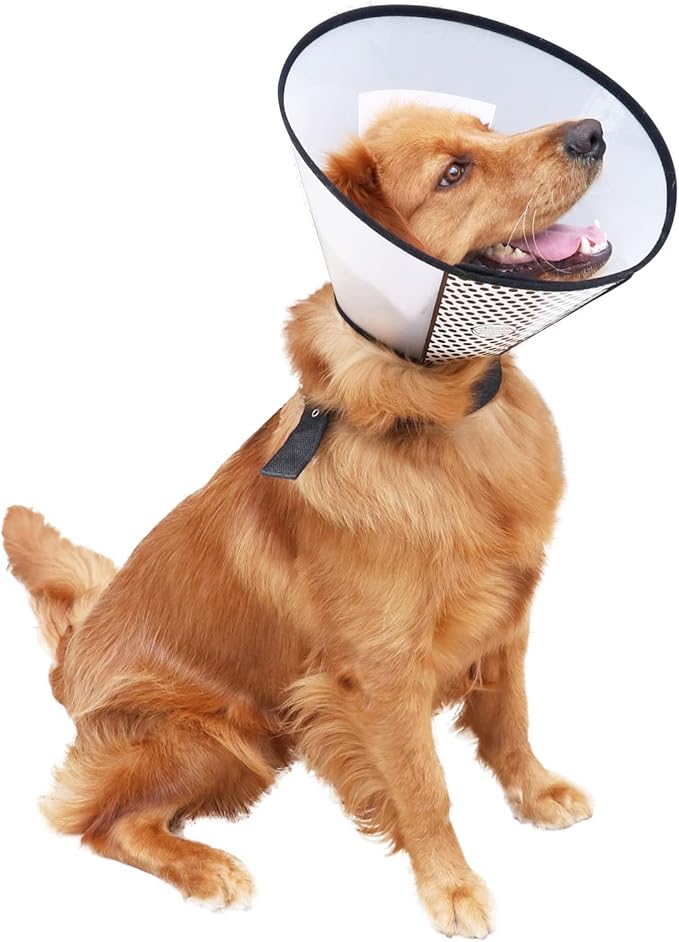 Plastic Pet Recovery Collars & Cones for Dogs and Cats After Surgery Adjustable Dog Neck Cone Surgical Elizabeth E-Collar Prevent Biting and Stop Licking Wound (XL)