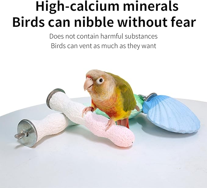 Bird Perches for Cage, Abrasive Surface High Calcium Mineral Parrot Perch Stand - Bird Nail File for Claw & Beak Health, Colorful Ceramic Bird Cage Accessories (Green, Shell)