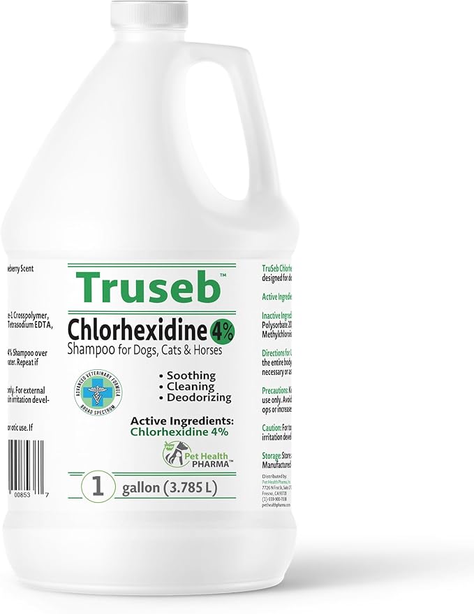 Topical Chlorhexidine 4% Shampoo for Dogs, Cats & Horses (Gallon)- with Aloe for Cleansing (USA) (Chlorhexidine 4% Shampoo, 1 Gallon)