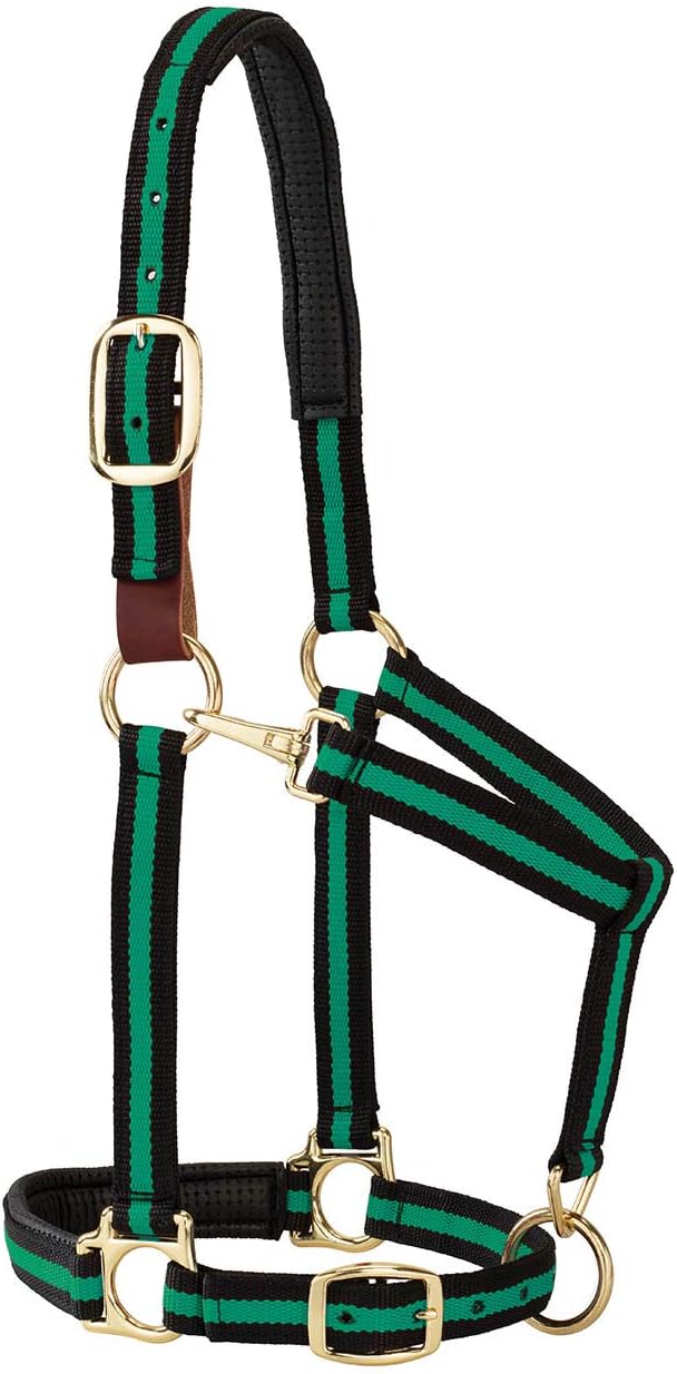 Weaver Equine Breakaway Horse Halter, Comfort Foam Padding, Adjustable Chin & Throat Snap Halters for Horses, Equine Tack,Average Size, Green