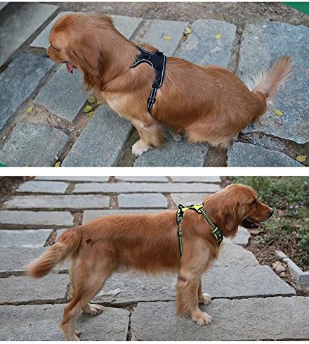 Truelove No Pull Dog Harness with Easy Control Handle and 2 Leash Attachments,Reflective Adjustable Pet Vest
