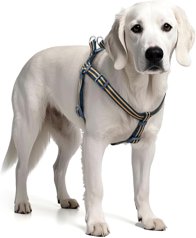 Stripe Step in Dog Harness for Small Dogs, Freedom Nylon Dog Halter Vests, Lightweight and Escape Proof Puppy Harness, Quick Fits for Small Medium and Large Dogs, Blue S