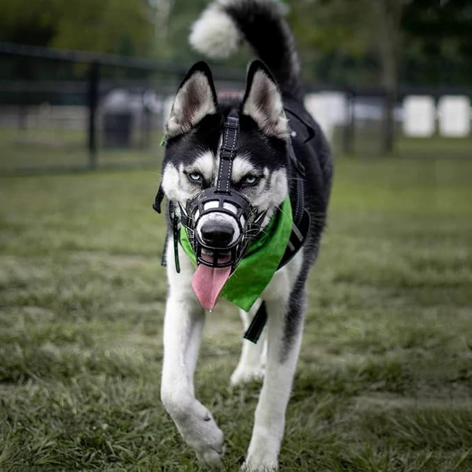 BARKLESS Dog Muzzle, Soft Basket Silicone Muzzle for Dogs to Prevent Biting and Chewing, Breathable Cage Mouth Cover for Training, Allows Drinking and Panting, Used with Collar