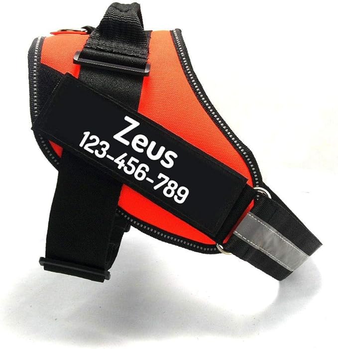 PawPawify Custom No Pull Dog Harness with Name and Phone Number, Heavy Duty Personalized Pet Vest to Prevent Tugging, Pulling, or Choking, Training and Walking (Orange, M (20-40 LBS))