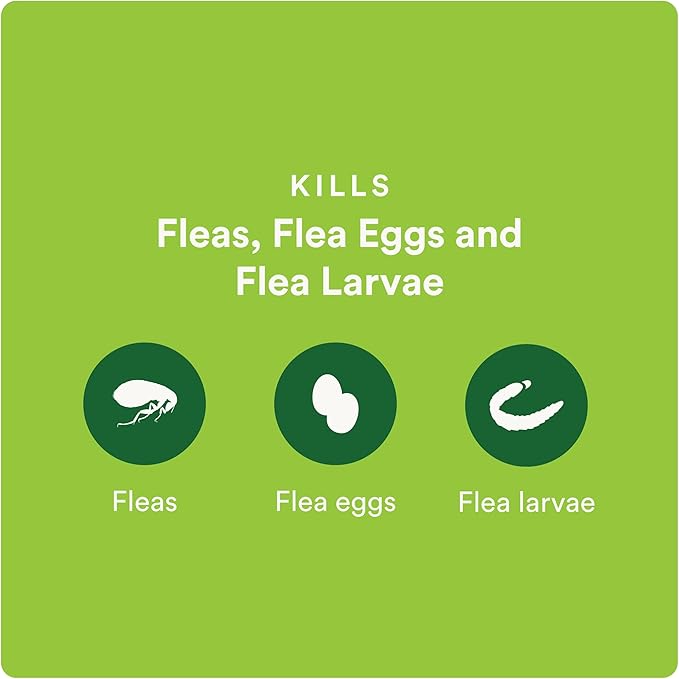Plus Flea Prevention for Cats, Cat and Kitten Treatment & Control, Small and Large, Fast Acting Waterproof Topical Drops, 2 Month Supply