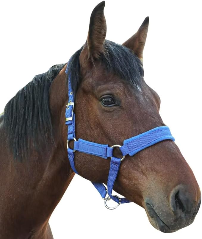 Horse Halter with Wool Lining, Adjustable Halter for Horses Satin Hardware to Prevent Friction, Breakaway Halters for Horses,Perfect for Traction and Performance