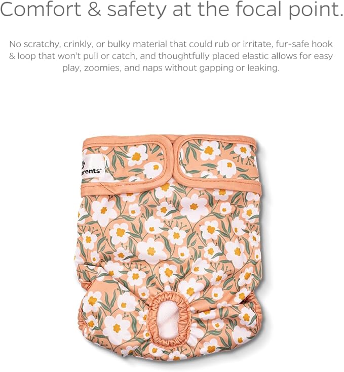 Pet Parents® Washable Dog Diapers (3pack) + Extendrs® of Durable Doggie Diapers, Premium Dog Diapers Female (X-Small, Daisy)