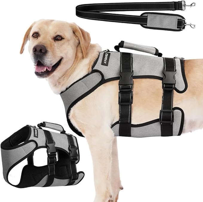 Ayquez Dog Lift Harness with Storage and Transport Bag, Dog Harness with Handle for Lifting & Hip dysplasia, arnés para Perros pequeños, pechera para Perros (Gray, M)