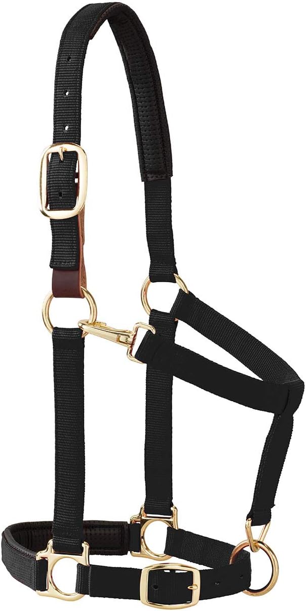 Weaver Equine Breakaway Horse Halter, Comfort Foam Padding, Adjustable Chin & Throat Snap Halters for Horses, Equine Tack,Average Size