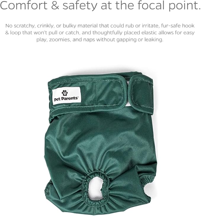 Pet Parents® Washable Dog Diapers (3pack) + Extendrs® of Durable Doggie Diapers, Premium Dog Diapers Female (Large, Samba)