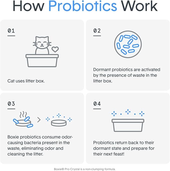 Boxie® Probiotic 40 Day Natural Odor Control Cat Litter, 16lb Clumping Clay Kitty Litter (Pack of 2)