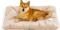 FUNNY FUZZY 2 in 1 Dog Crate Bed Pad for Large Sized Dog, Washable Reversible Pet Soft Mats,Durable Fluffy Kennel Mattress,Indoor Cats, 35" × 23", Beige