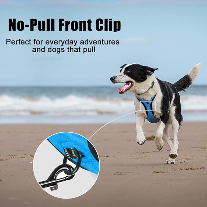 PoyPet No Pull Dog Harness, Reflective Comfortable Vest Harness with Front & Back 2 Leash Attachments and Easy Control Handle Adjustable Soft Padded Pet Vest for Small to Large Dogs (Blue,XS)