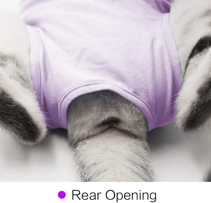 Cat Surgery Recovery Suit Cat Onesie for Cats After Surgery Spay Surgical Abdominal Wound Skin Diseases E-Collar Alternative Wear (Purple-L)