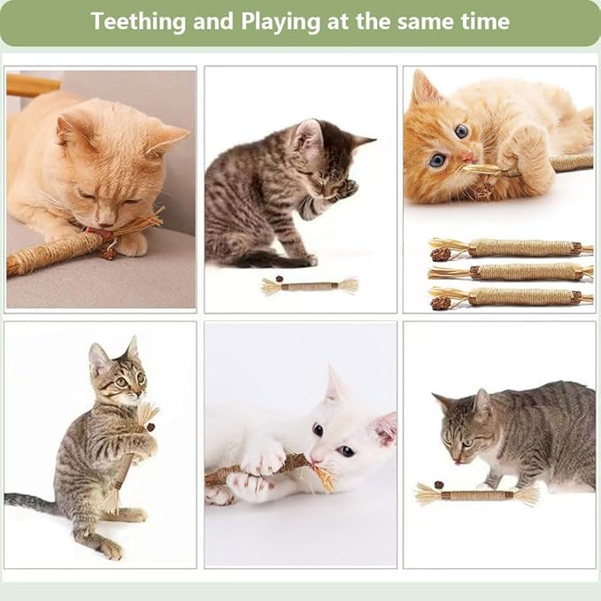 3 PCS Silvervine Sticks for Cats - Natural Cat Chew Toys for Teeth Cleaning, Kitten Teething & Aggressive Chewers