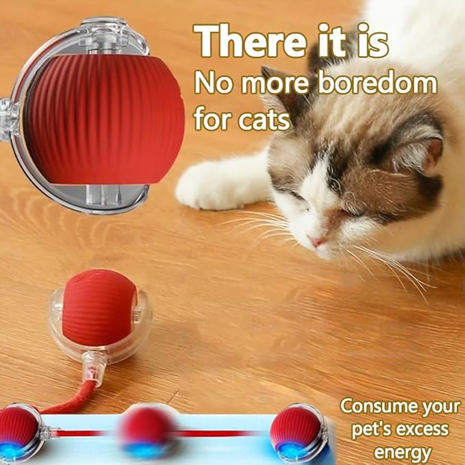 Interactive Cat Toys Ball for Indoor Cats, Auto Moving Cat Toys Interactive Motorized Electric Rolling Ball with Motion Sensor, Indoor Cats to Reduce Boredom (Red)