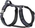 CLEPAWS Dog Harness for Small Dogs, No Pull Dog Harness Easy Walk with Metal Hardware, Ergonomic Y-Shaped Design, Soft Padding, Padded Handle, Durable High-Tensile Nylon (Nightfall, S)