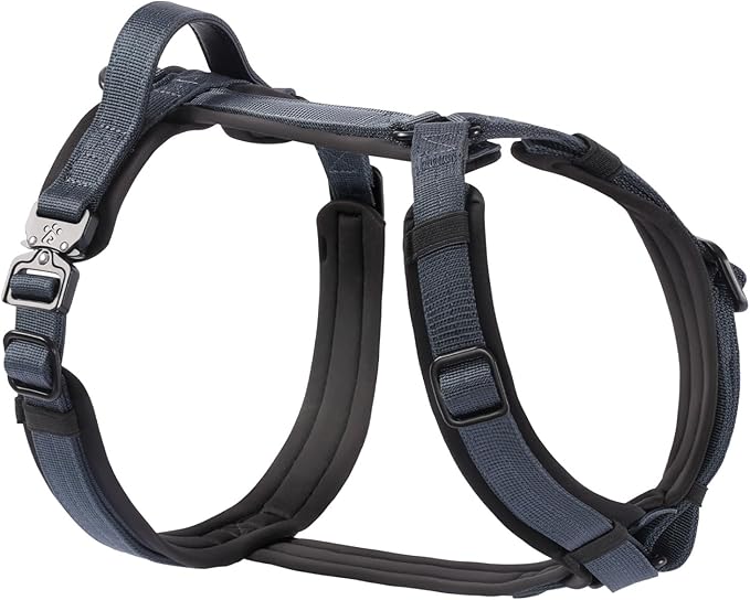 CLEPAWS Dog Harness for Small Dogs, No Pull Dog Harness Easy Walk with Metal Hardware, Ergonomic Y-Shaped Design, Soft Padding, Padded Handle, Durable High-Tensile Nylon (Nightfall, S)