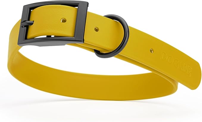 Dogline Biothane Waterproof Dog Collar Strong Coated Nylon Webbing with Black Hardware Odor- Proof for Easy Care Easy to Clean High Performance Fits Small Medium or Large Dogs, Treasure Gold