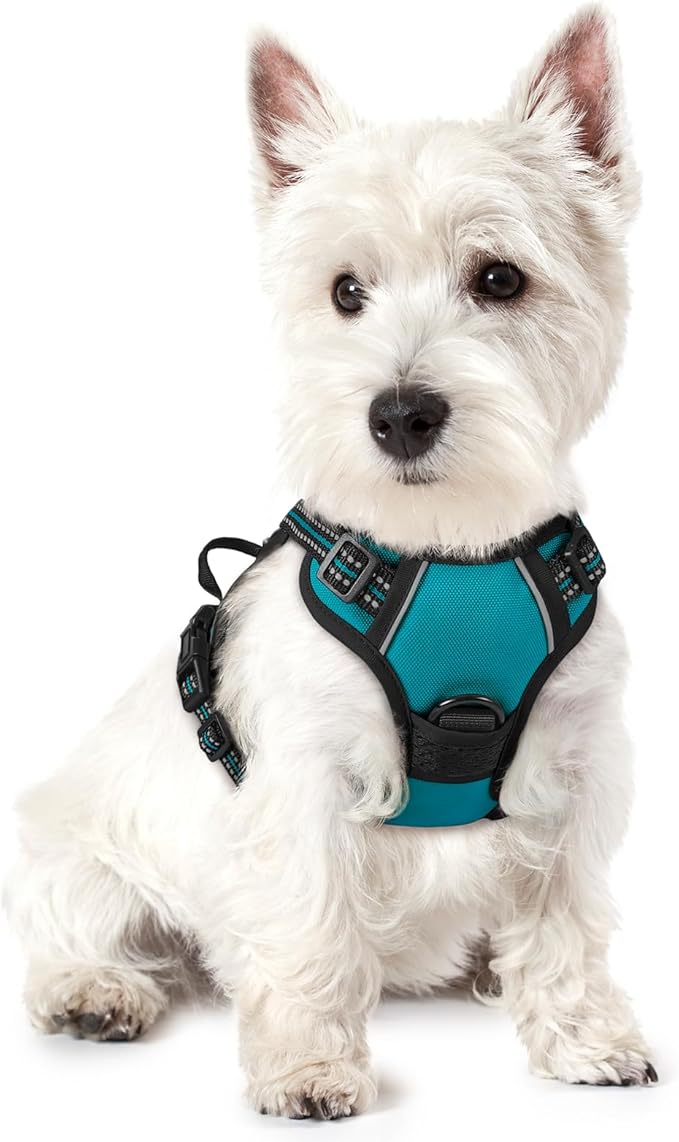 rabbitgoo Dog Harness No Pull with 2 Leash Clips, Adjustable Soft Padded, Reflective Oxford No Choke Pet Vest with Easy Control Handle for Puppy, Teal, XS