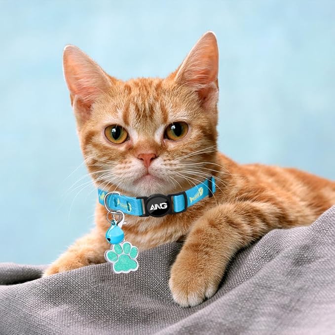 Personalized Breakaway Cat Collars Glow-in-The-Dark with ID Tag, Bell - Safety Quick - Release, Customizable for Female Male Kittens & Cats (Blue)