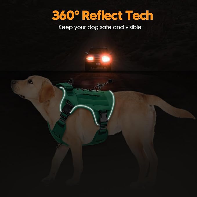 Heavy-Duty Tactical Dog Harness for Large Dogs, No Pull Adjustable Reflective Pet Vest with Molle System, K9 Military-Grade Control for Service Training, Outdoor & 10+ Breeds, Turquoise, X-Large