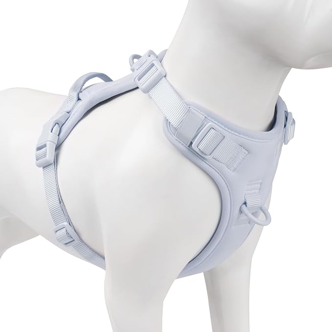 No Pull Dog Harness, Puppy Vest with Front Clip for Small Medium Large Sized Dog(Light Blue,XS)