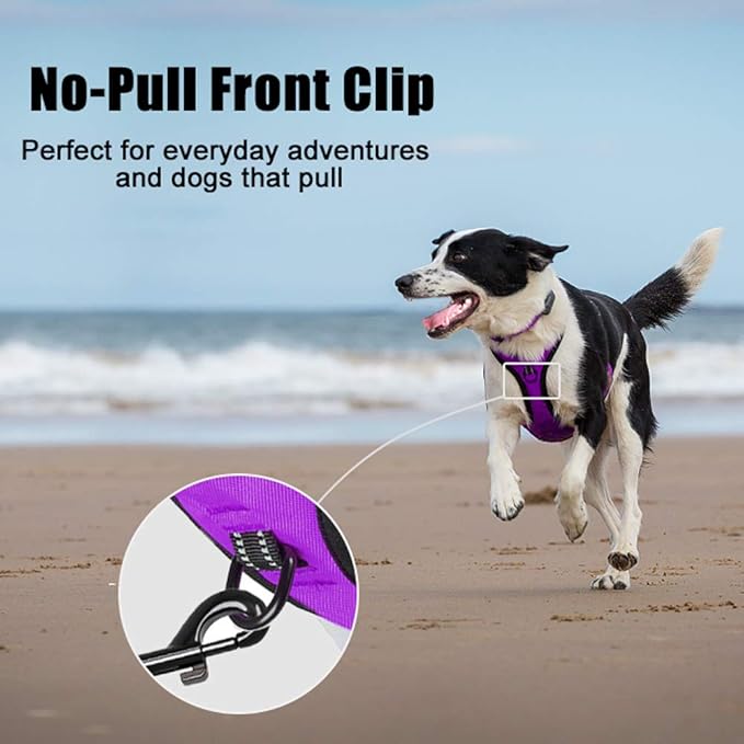 PoyPet No Pull Dog Harness, Reflective Comfortable Vest Harness with Front & Back 2 Leash Attachments and Easy Control Handle Adjustable Soft Padded Pet Vest for Small to Large Dogs (Purple,S)