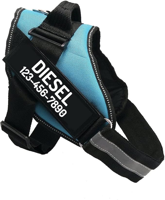 PawPawify Custom No Pull Dog Harness with Name and Phone Number, Heavy Duty Personalized Pet Vest to Prevent Tugging, Pulling, or Choking, Training and Walking (SkyBlue, XXL (85-140 LBS))