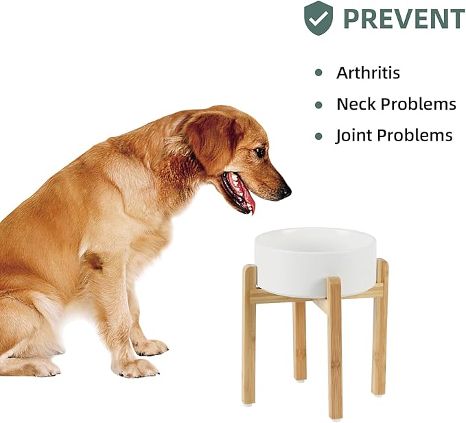 Ceramic Elevated Dog Bowl Set - Large Breed Dog Food and Water Bowl, Weighted Dishes (8.2'', 60OZ, White)