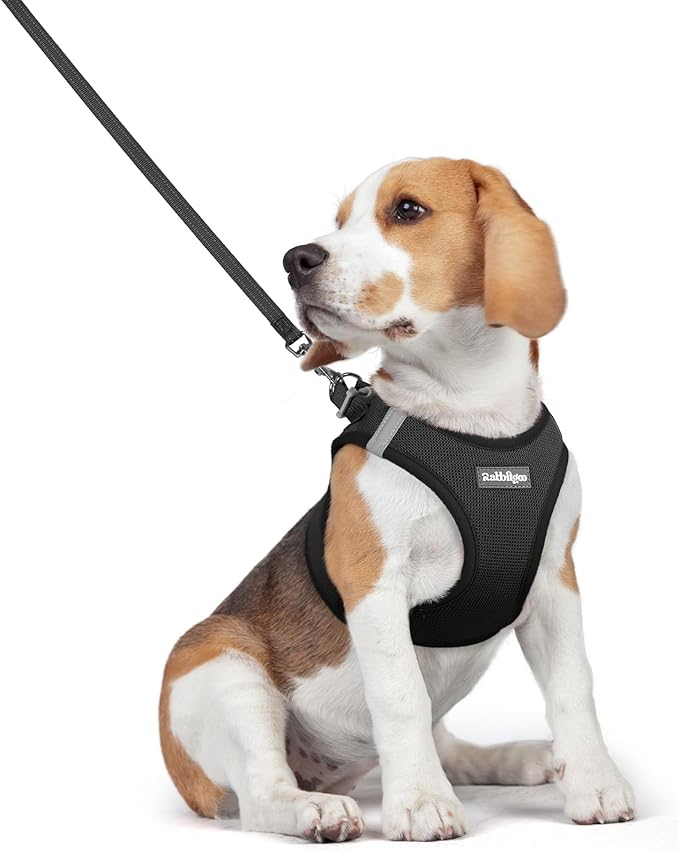 rabbitgoo Dog Harness Small Medium Sized and Leash Set, Step in Soft Light Puppy Vest, Breathable Mesh Pet Harness, Reflective for Safe Easy Walking, Black L