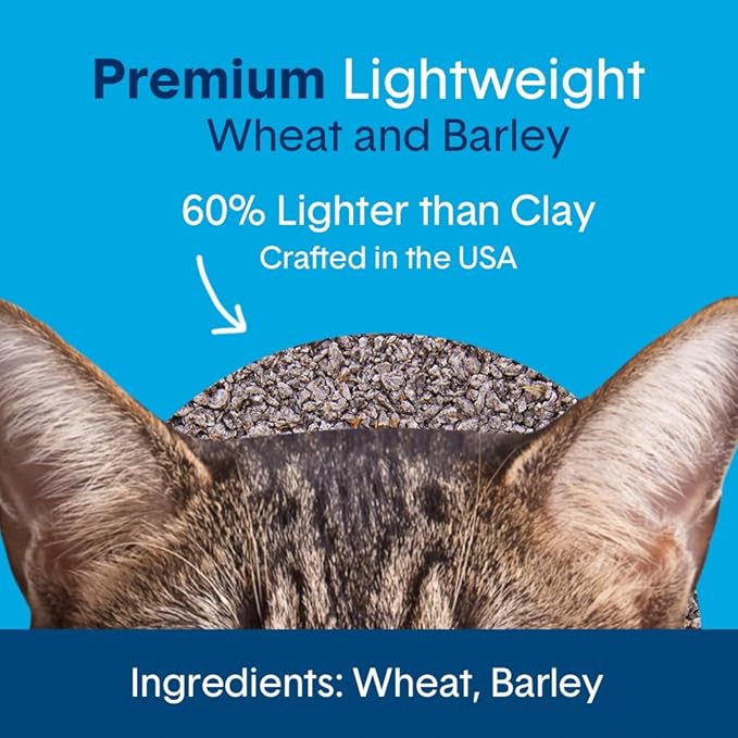 Boxie® Unscented 30 Day Natural Odor Control Cat Litter, 6.5lb Lightweight Plant Based Kitty Litter
