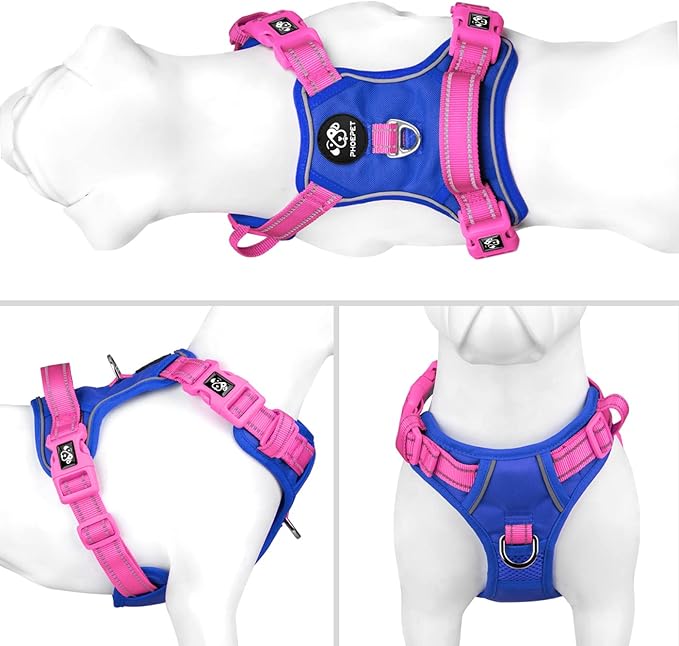 PHOEPET No Pull Dog Harness, Unique Colors Reflective Adjustable Dog Vest, with Soft Training Handle Metal Clips for Small Medium Large Dogs (Royal Blue Base & Pink Straps,M)