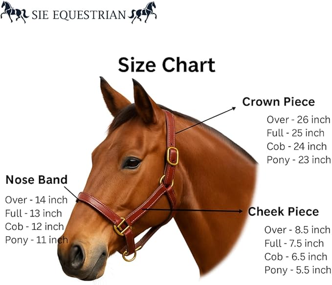 Triple Stitch Leather Horse Halter, Adjustable Design, Fancy Stitching, Solid Brass Hardware