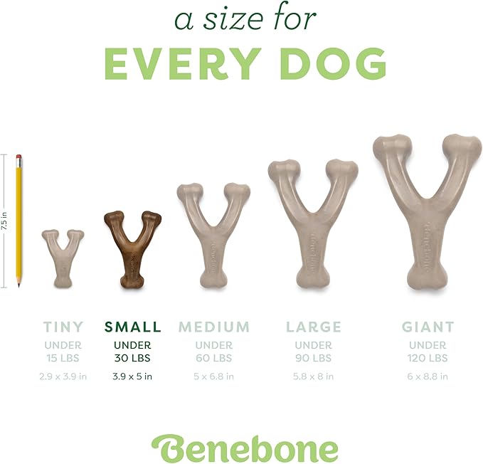 Benebone Small 3-Pack, Wishbone Durable Dog Chew Toy for Aggressive Chewers, Real Bacon, Chicken, Peanut Butter, Made in USA, Variety Pack
