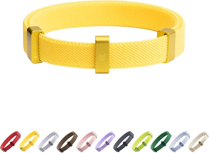 Safety Cat Collar - U.S. IDA Gold Awarding Design, Elastic Quick Release, Non Breakaway - Lightweight for Kitten, Neck Fit 5.9'-11.8' for All Small Large Cat,S(Sunshine)